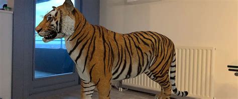 3d dieren google